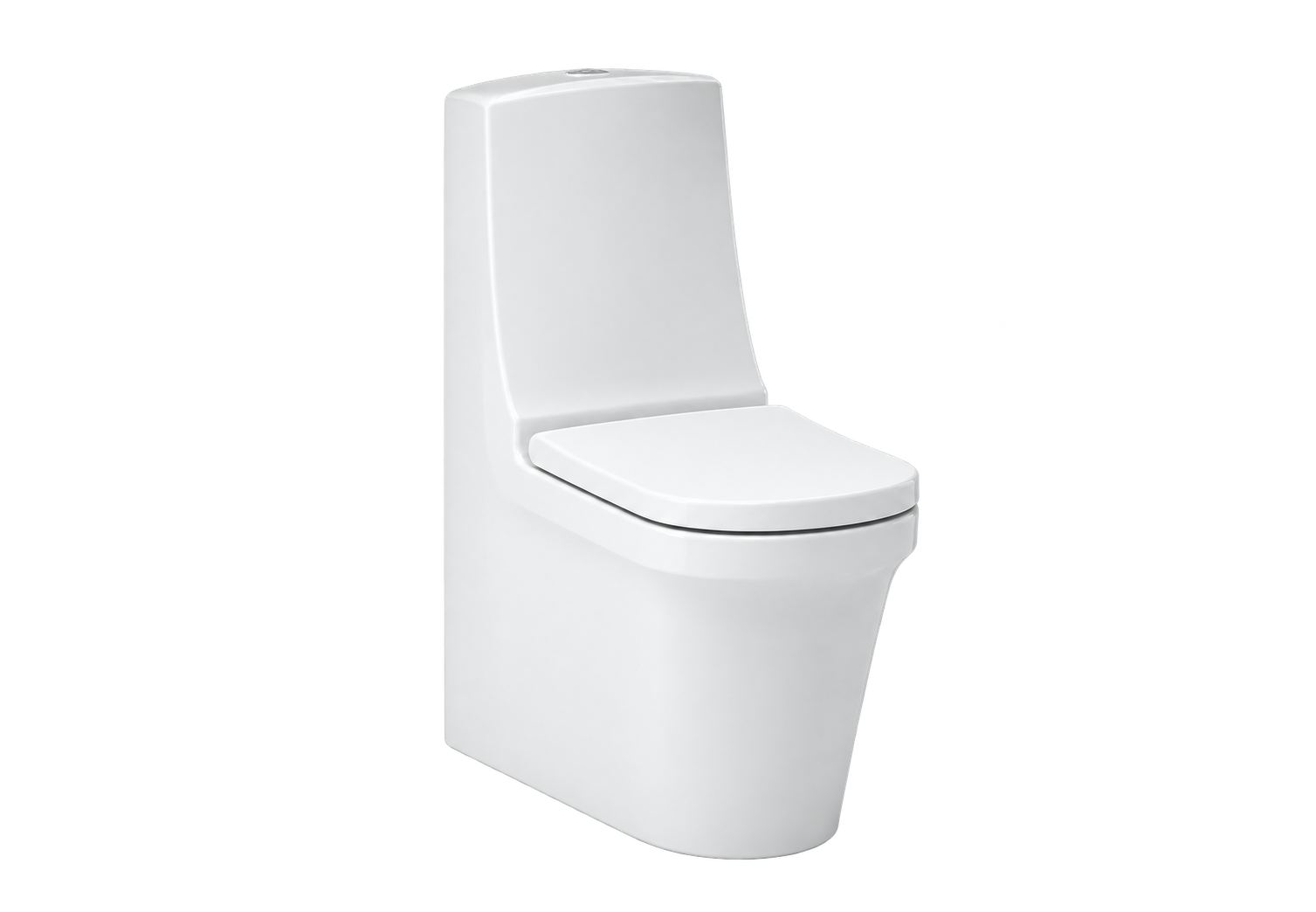 承地排座便器 Toilet