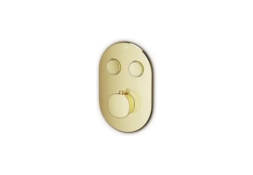 入墙式双水道恒温开关 Concealed control