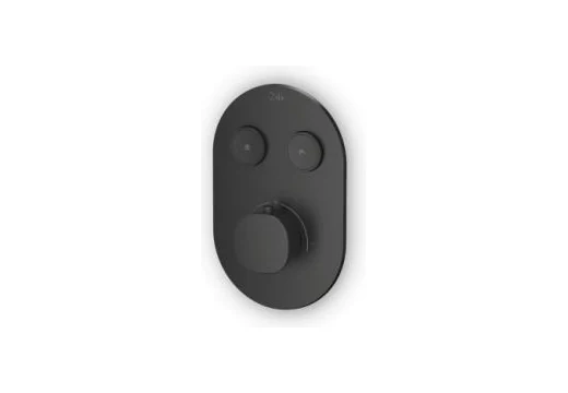 入墙式双水道恒温开关 Concealed control