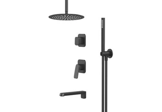 入墙式淋浴/浴缸双用套组 (F ) Shower and bath set