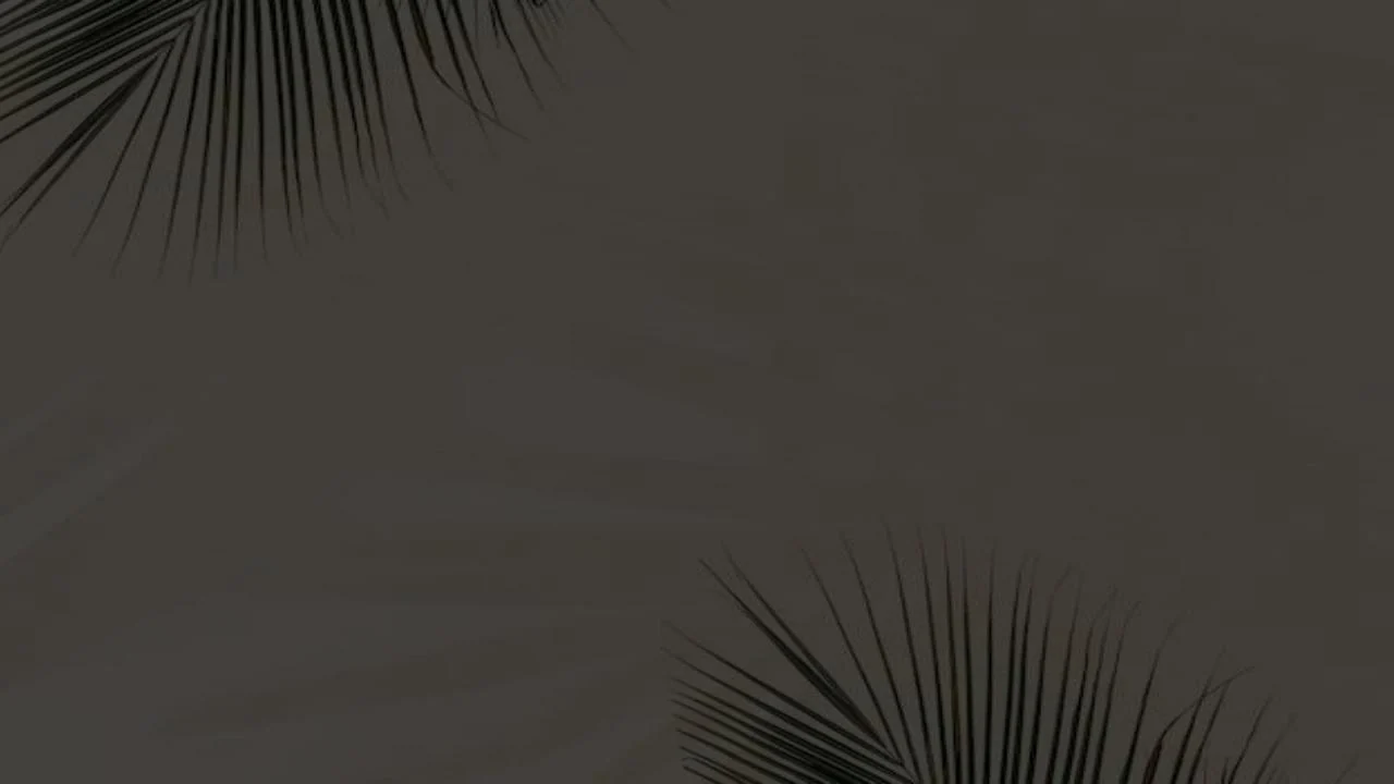 昱湖壹号 · 观云 户型二 空间图 3